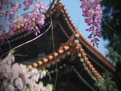 -北京国子监胡同
