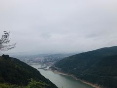 -铁山坪森林公园