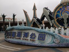 -上海海昌海洋公园