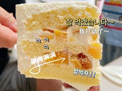 -山与蓝·轻糖鲜果蛋糕(勒泰店)
