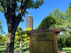 -西海子公园