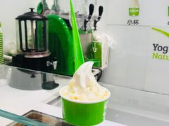 -Salud撒露欧洲冻酸奶(蓝色港湾店)