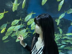 -石家庄海洋公园