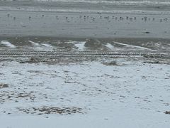 -ChanDu躔度咖啡(灯塔店)