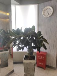 点击看大图 -PE SALON