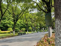 -汤山公园