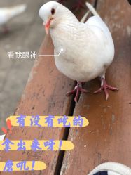 点击看大图 -玄武湖景区-情侣园游乐场