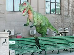 -国家自然博物馆