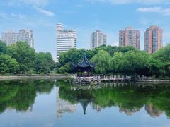-和平公园