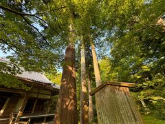-三千院