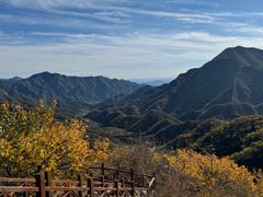 -大岭沟猕猴桃谷风景区