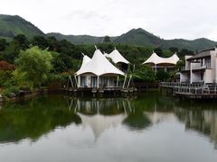 -帐篷客·溪龙茶谷度假酒店