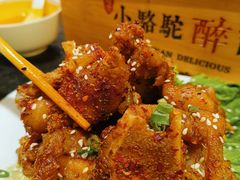 -福苗小骆驼烧烤(大唐不夜城店)