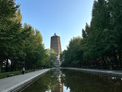 -玲珑塔公园