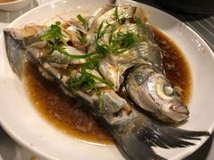 -幸福里音乐酒吧餐吧(朗臻新天地店)