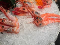 -大红袍火锅料理(尖沙咀店)