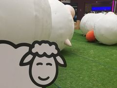 -阳光天地