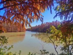 -上海海湾国家森林公园