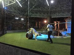 -清迈夜间动物园