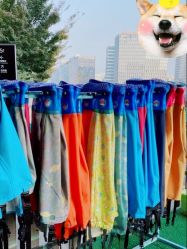 -可可天空农场(中大店)