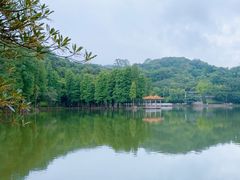 -西樵山风景名胜区-天湖公园