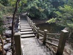 -银瓶嘴森林公园