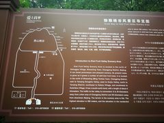 -大岭沟猕猴桃谷风景区