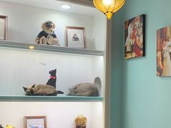 -猫小院猫主题餐厅(三里屯店)