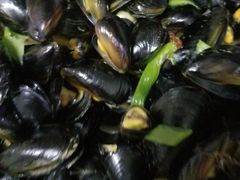 -四海鲜渔家菜(黄金海岸店)