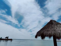 -哈素海