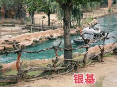 -郑州银基国际旅游度假区