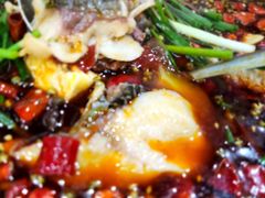 -乡土特色.冷锅鱼.牦牛肉汤锅