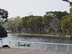 -新江湾城公园