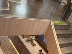 -霸王茶姬(南强街店)