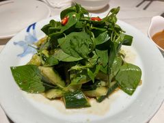 荆芥黄瓜-解家河南菜(金水路店)