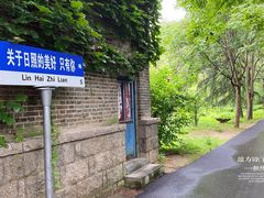 -日照海滨国家森林公园