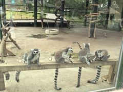 -水上乐园·欢乐世界