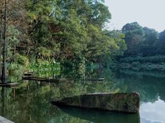 -深圳仙湖植物园