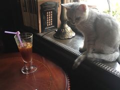 -不舍昼夜咖啡馆