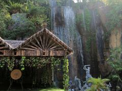 -西双版纳原始森林公园