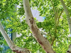 -西安电影制片厂