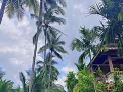 -西双版纳傣族园