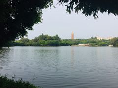 -三水森林公园