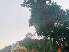 -温州乐园