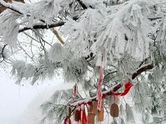 -秦岭终南山世界地质公园翠华山景区