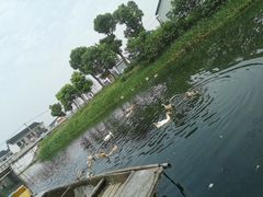 -乡乐园蟹庄·阳澄湖农家乐