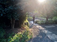 -田园东方蜜桃村的田野营地