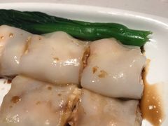 -南枝记