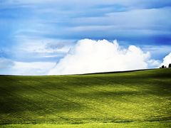 -莫尔道嘎国家森林公园