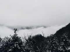 -塔云山
